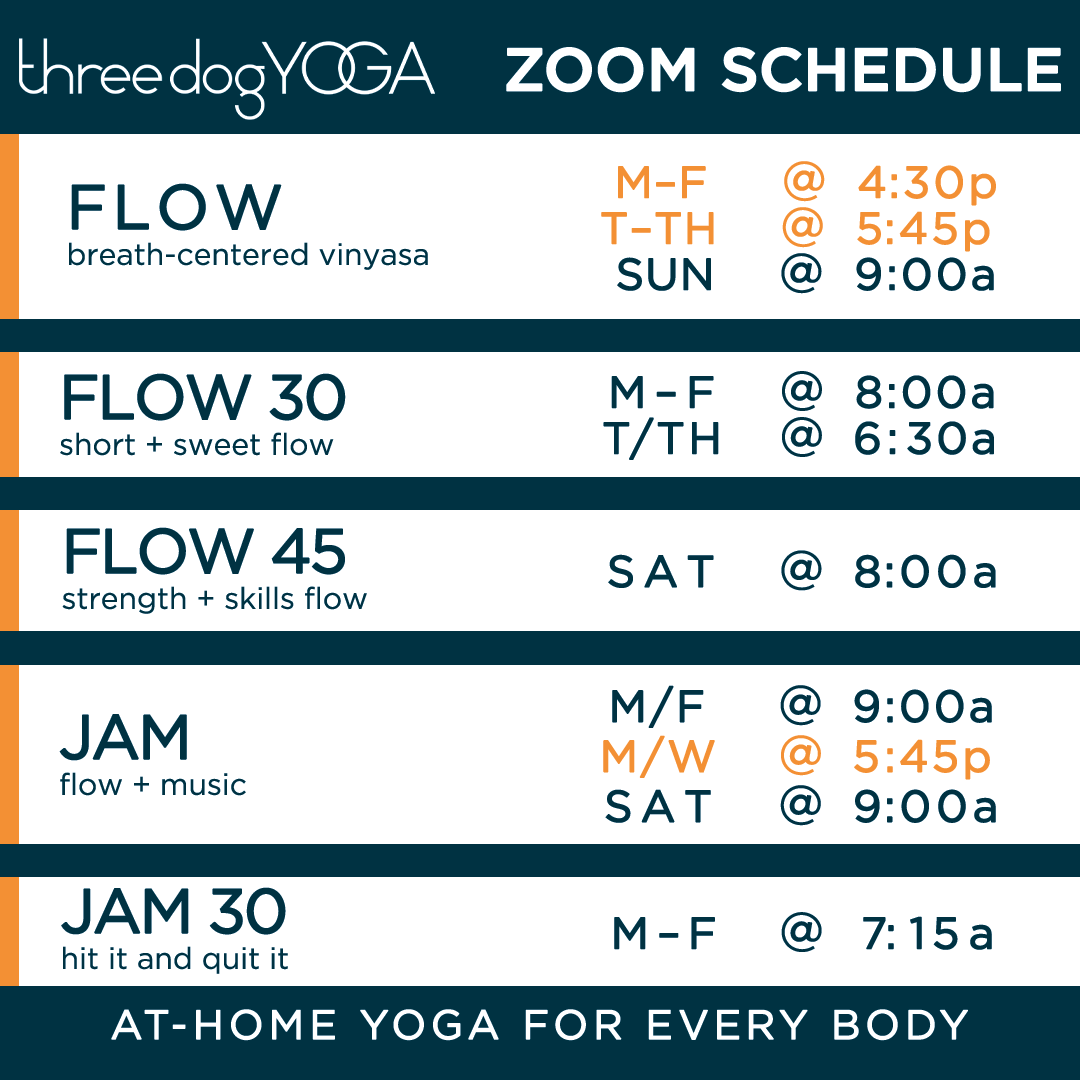 ONLINE CLASSES - three dog yoga